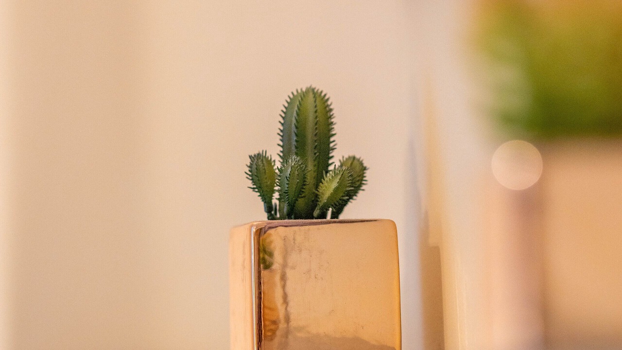 Photo of Others in Dunblane