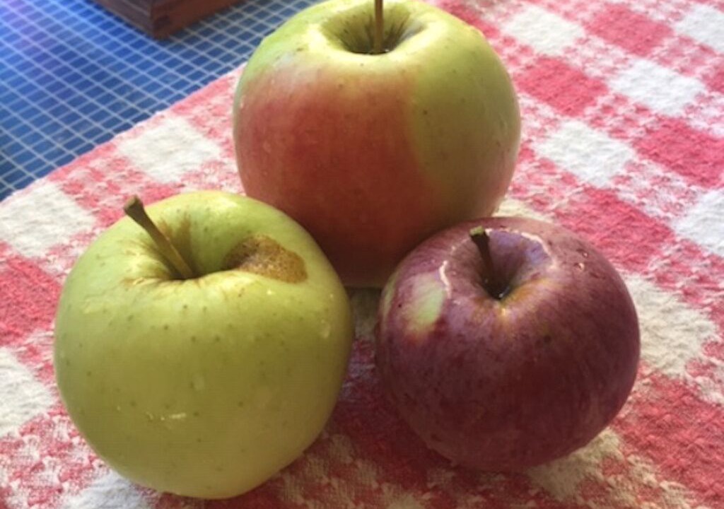 Photo of Others in Vashon Island