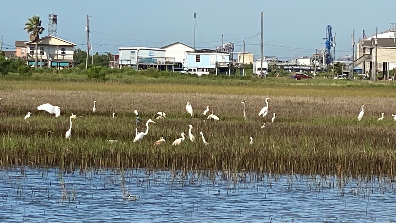 Photo of Others in Surfside Beach
