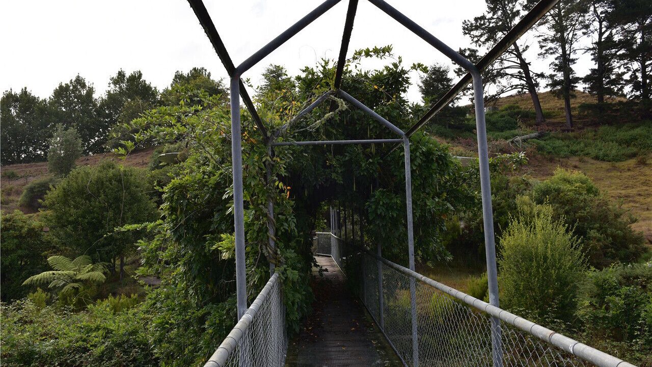 Photo of Outdoor in Waitomo Caves