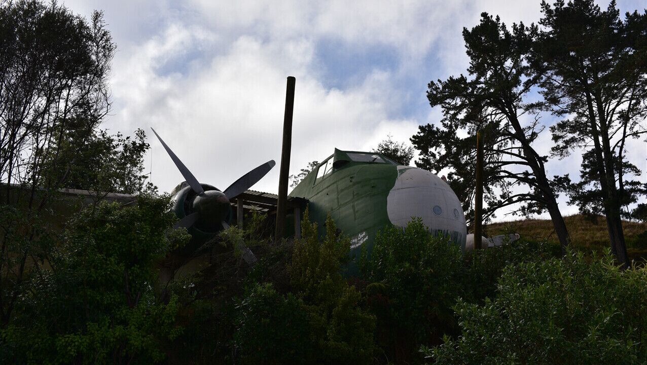 Photo of Outdoor in Waitomo Caves