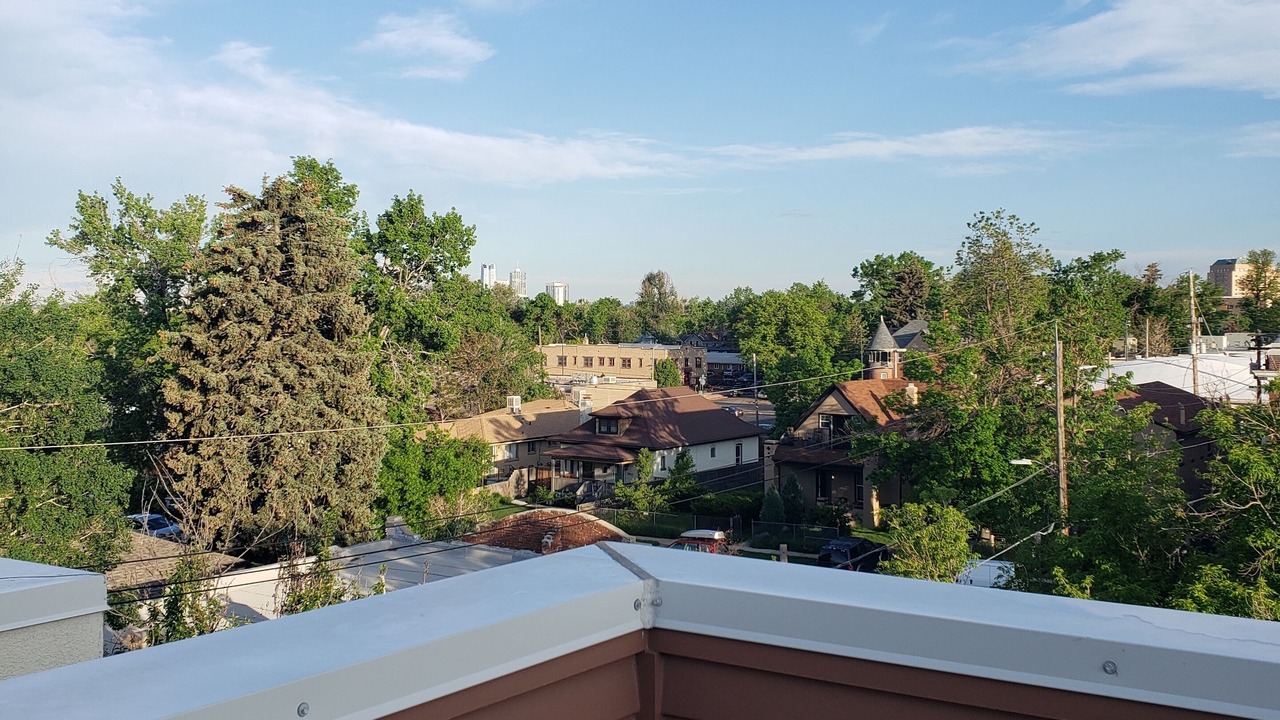 Photo of Others in Sunnyside
