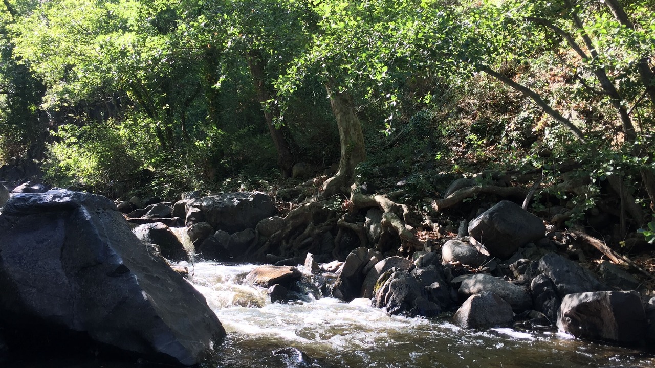 Photo of Outdoor in Mosset