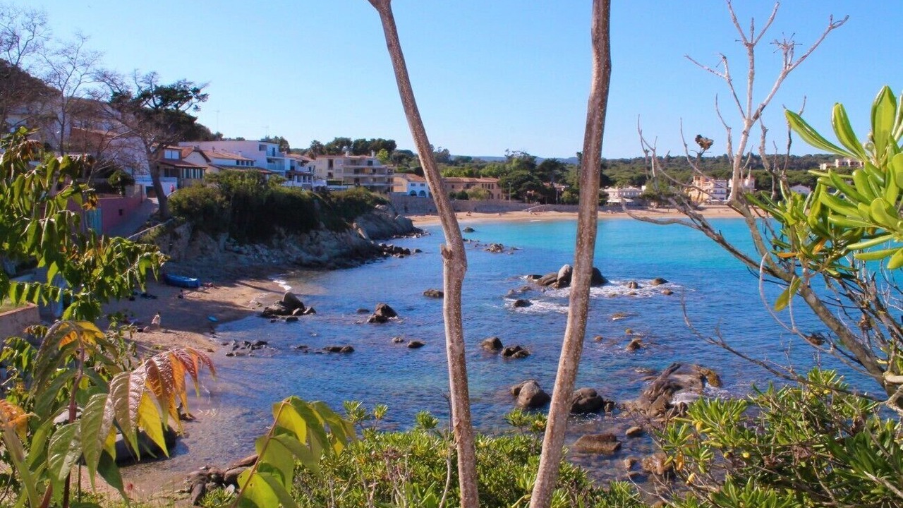 Photo of Others in Palamos