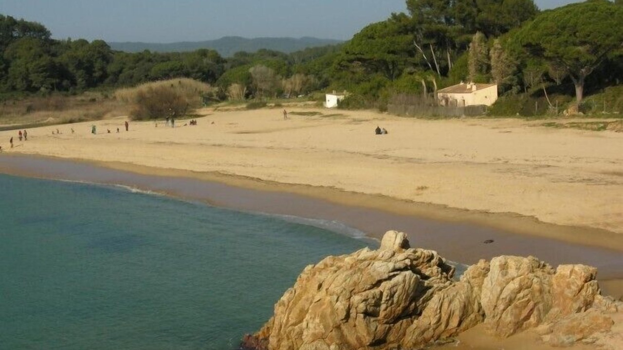 Photo of Others in Palamos