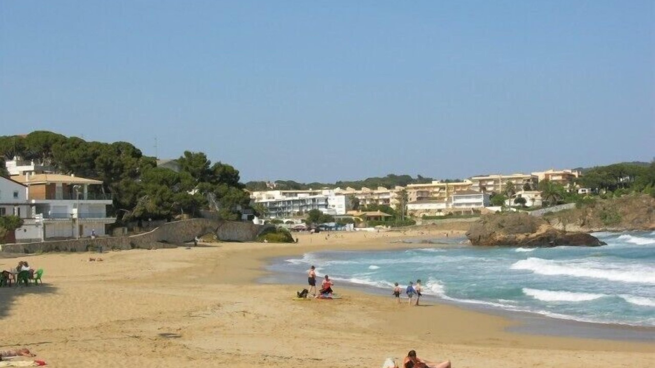 Photo of Others in Palamos