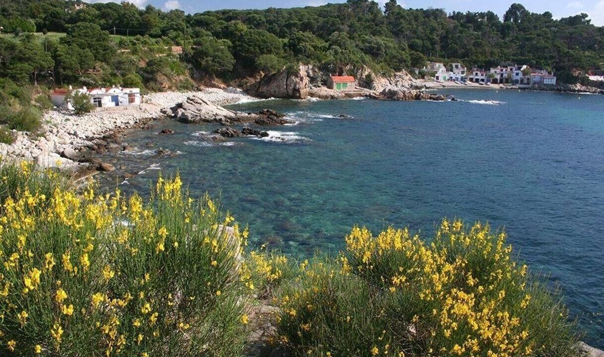 Photo of Others in Palamos