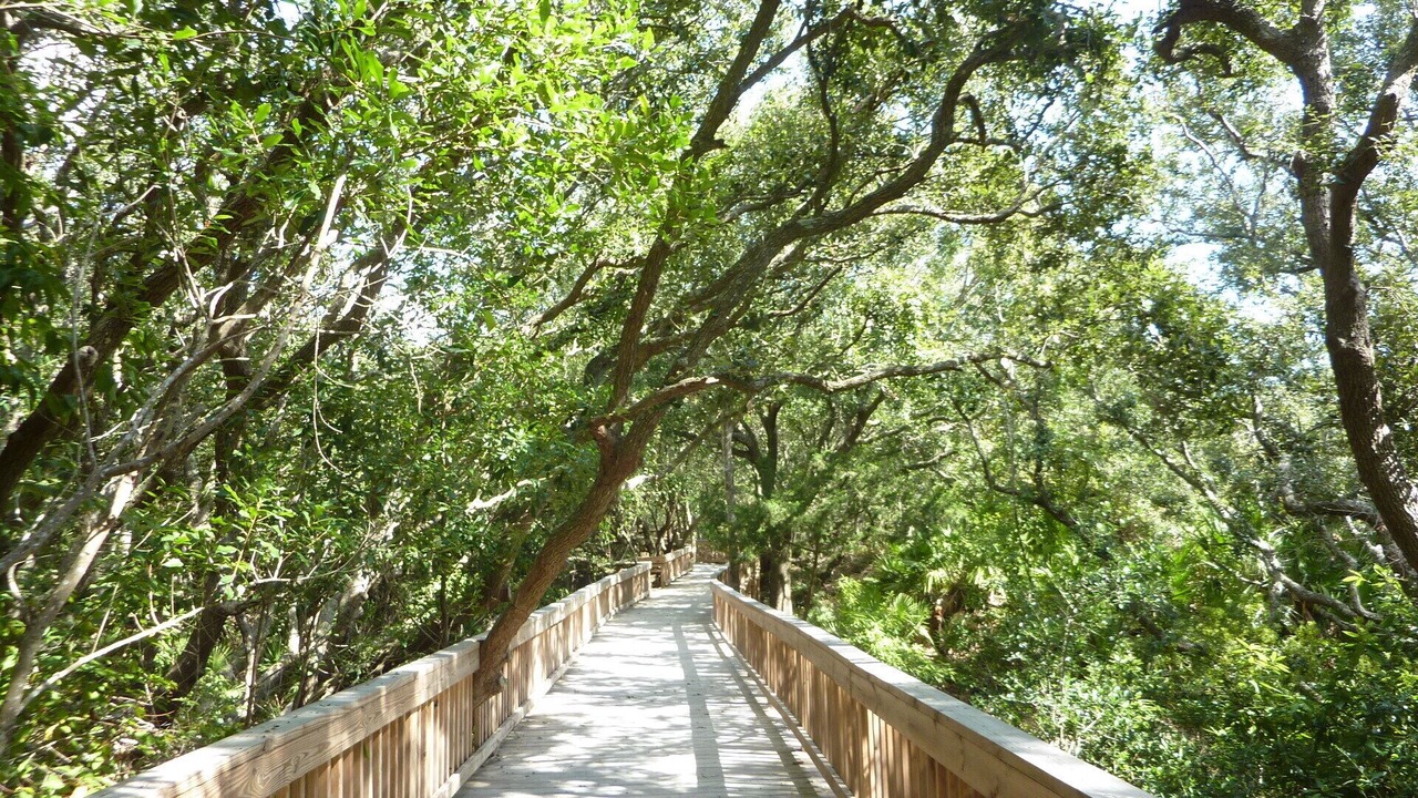Photo of Outdoor in Jekyll Island