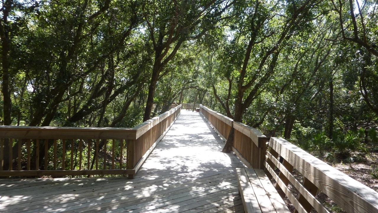 Photo of Outdoor in Jekyll Island