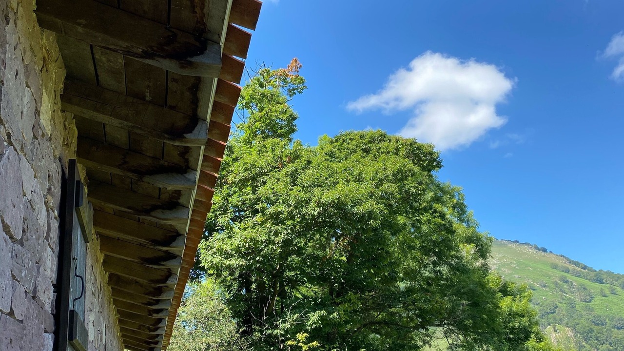 Photo of Outdoor in Sare