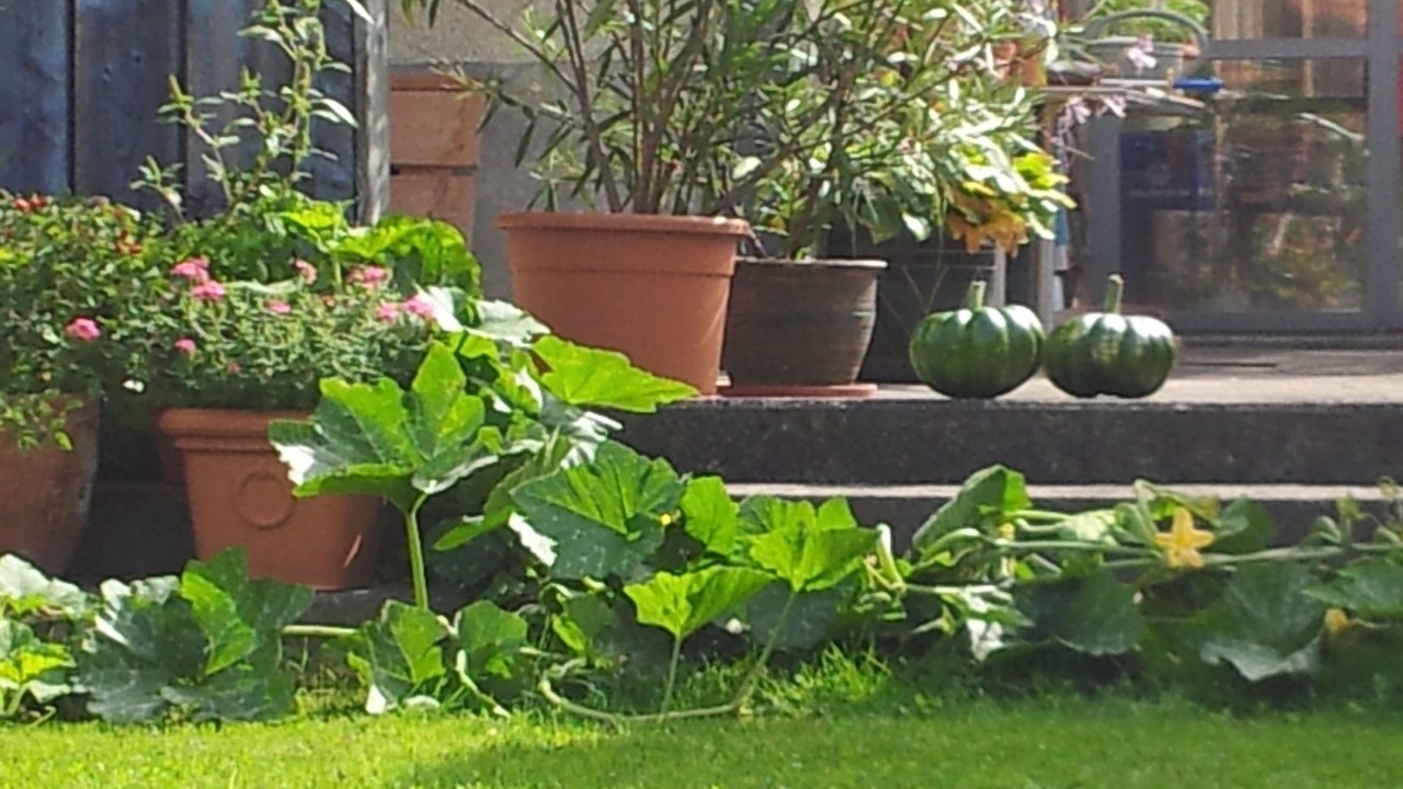 Photo of Outdoor in Gebenstorf