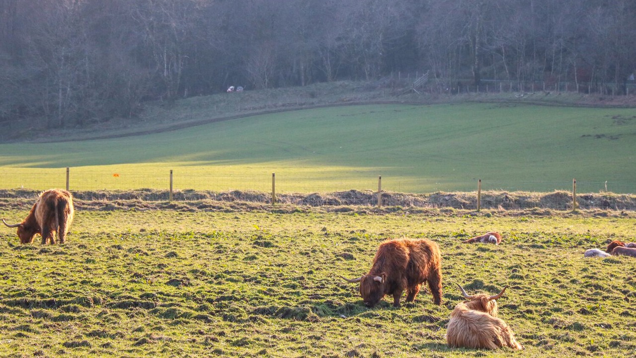 Photo of Others in Invergarry