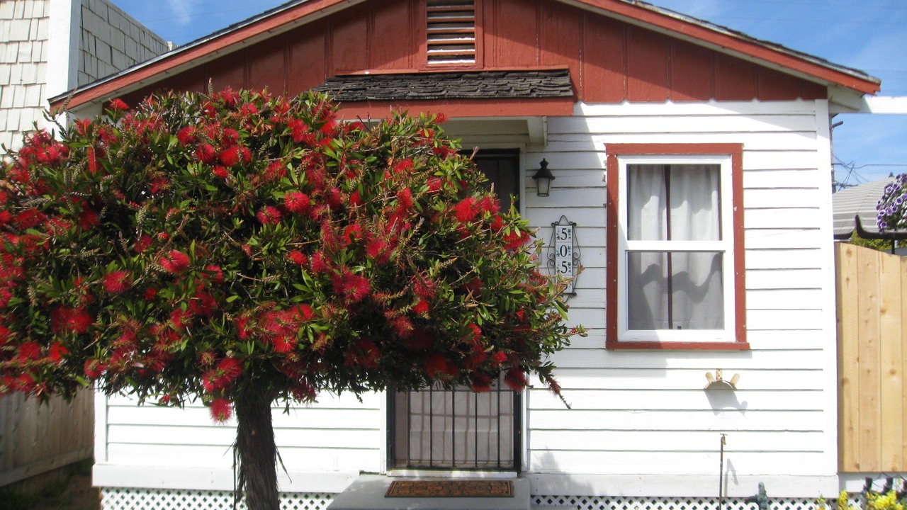 Photo of Outdoor in Ocean Beach