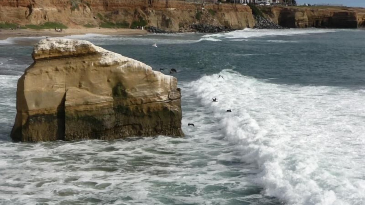 Photo of Others in Ocean Beach