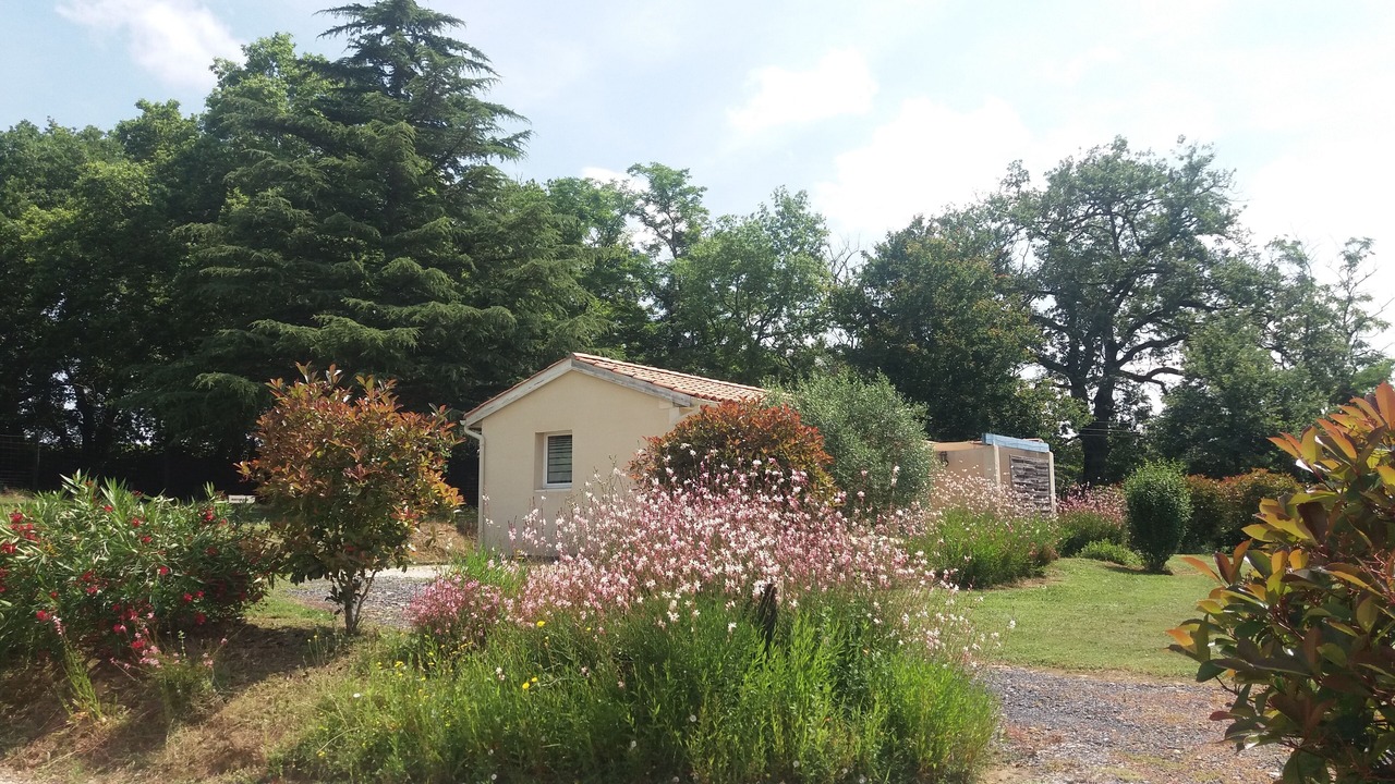 Photo of Outdoor in Montreal