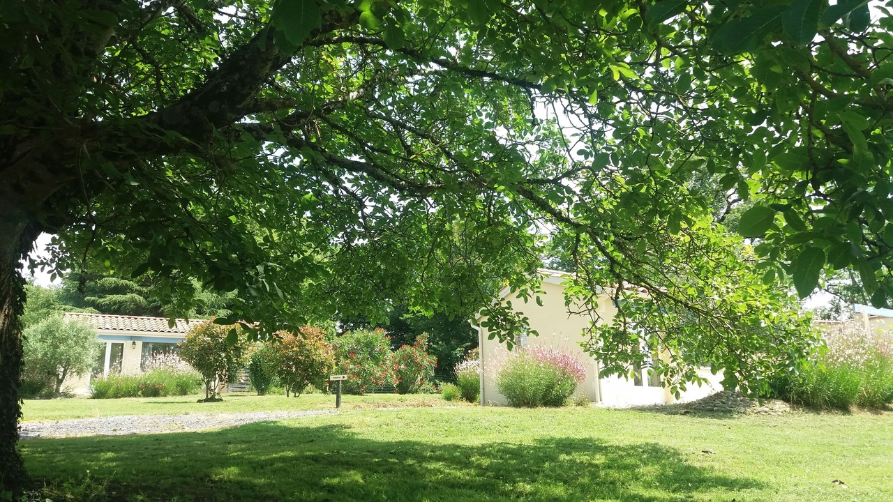 Photo of Outdoor in Montreal