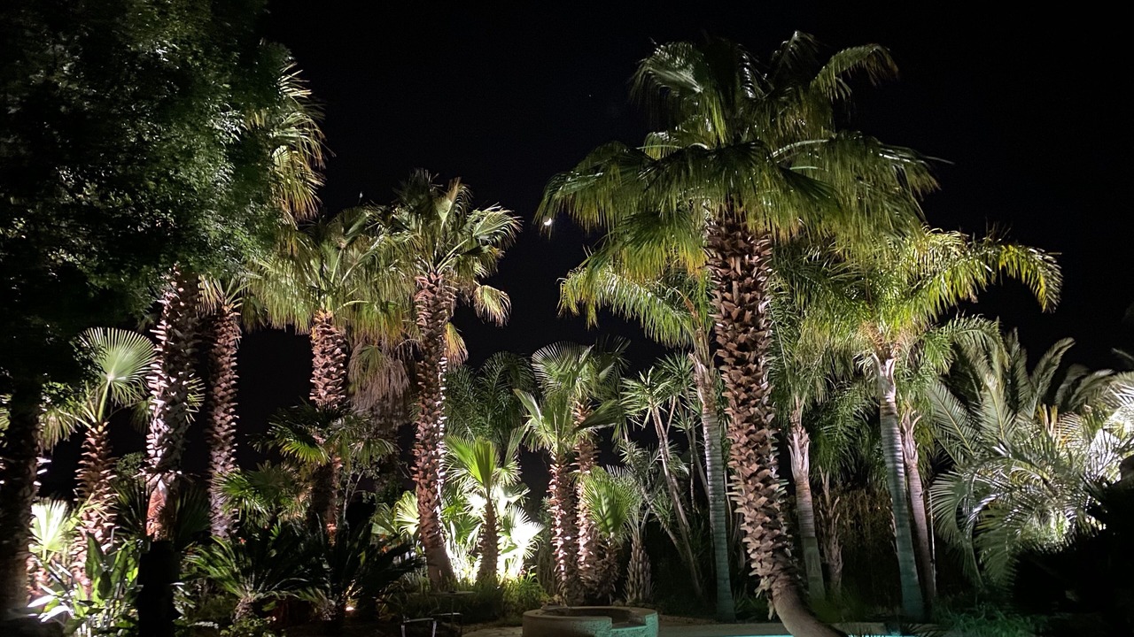 Photo of Outdoor in La Crau