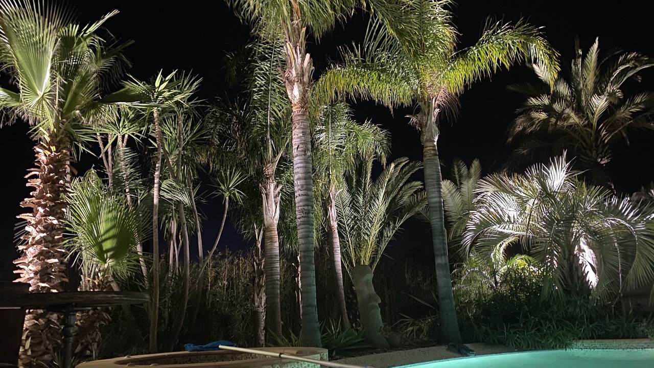 Photo of Outdoor in La Crau