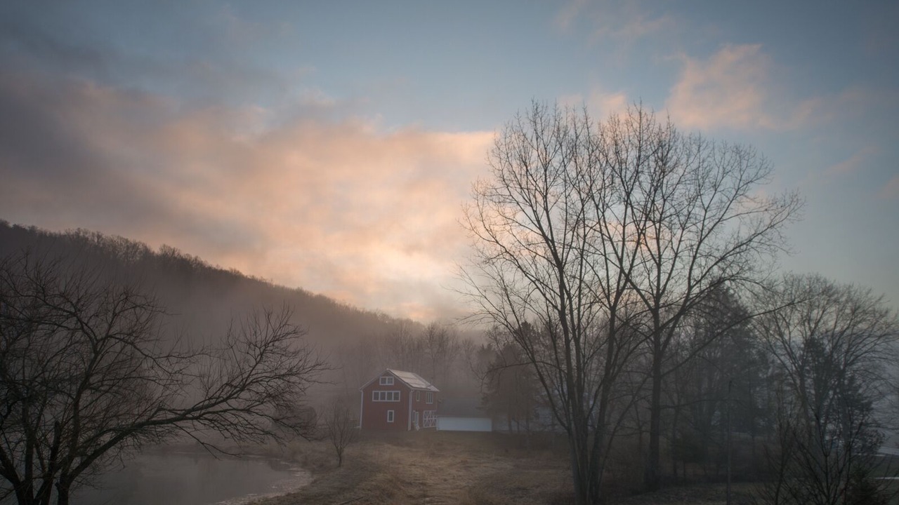 Photo of Others in Red Hook