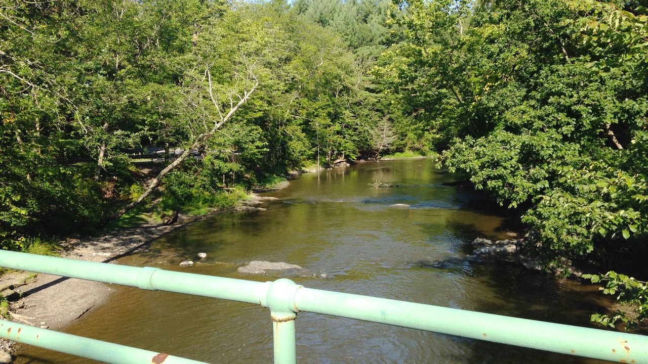 Photo of Others in Red Hook
