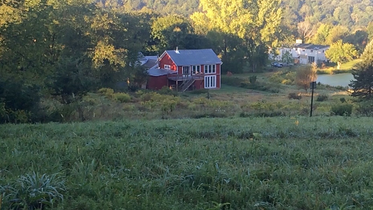 Photo of Others in Red Hook