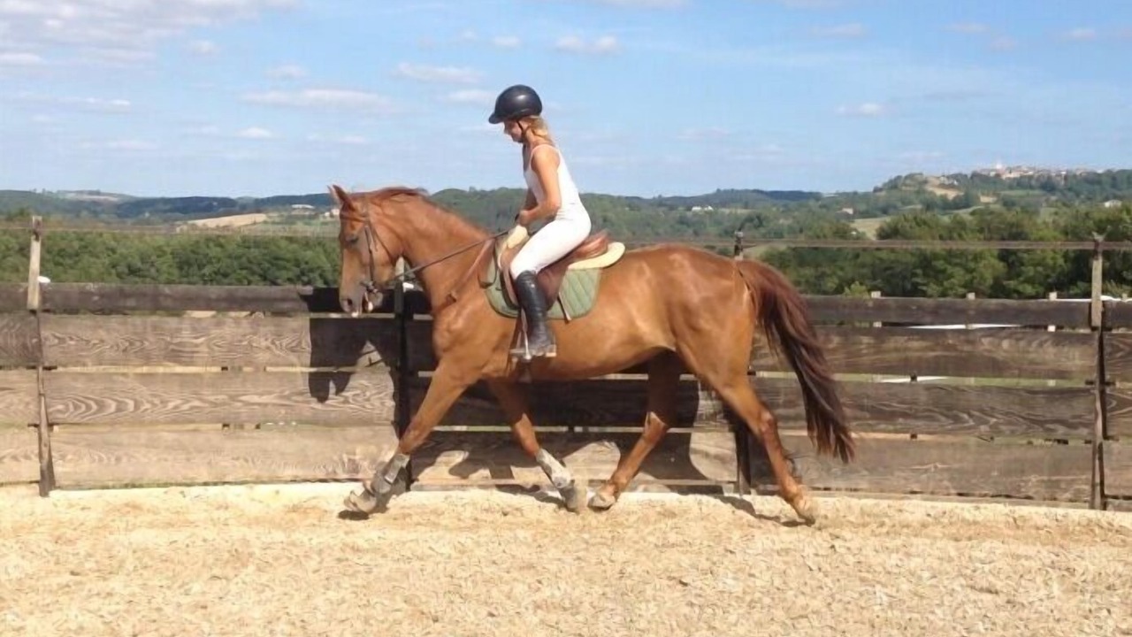 Photo of Others in Castelnau-de-Montmiral