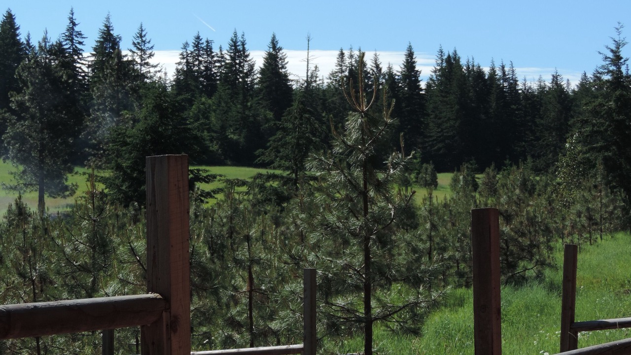 Photo of Others in White Salmon