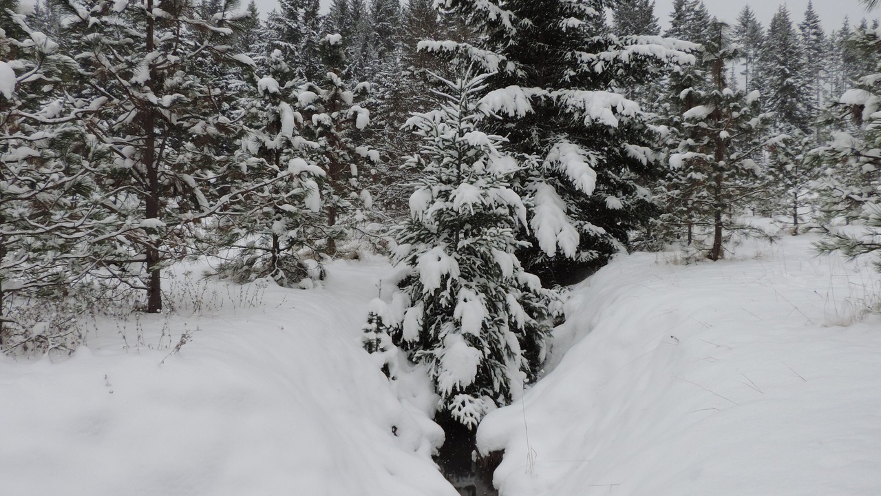 Photo of Others in White Salmon