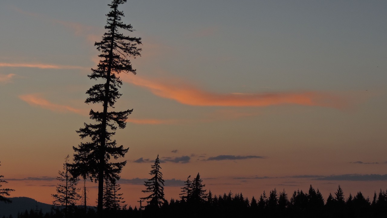 Photo of Others in White Salmon