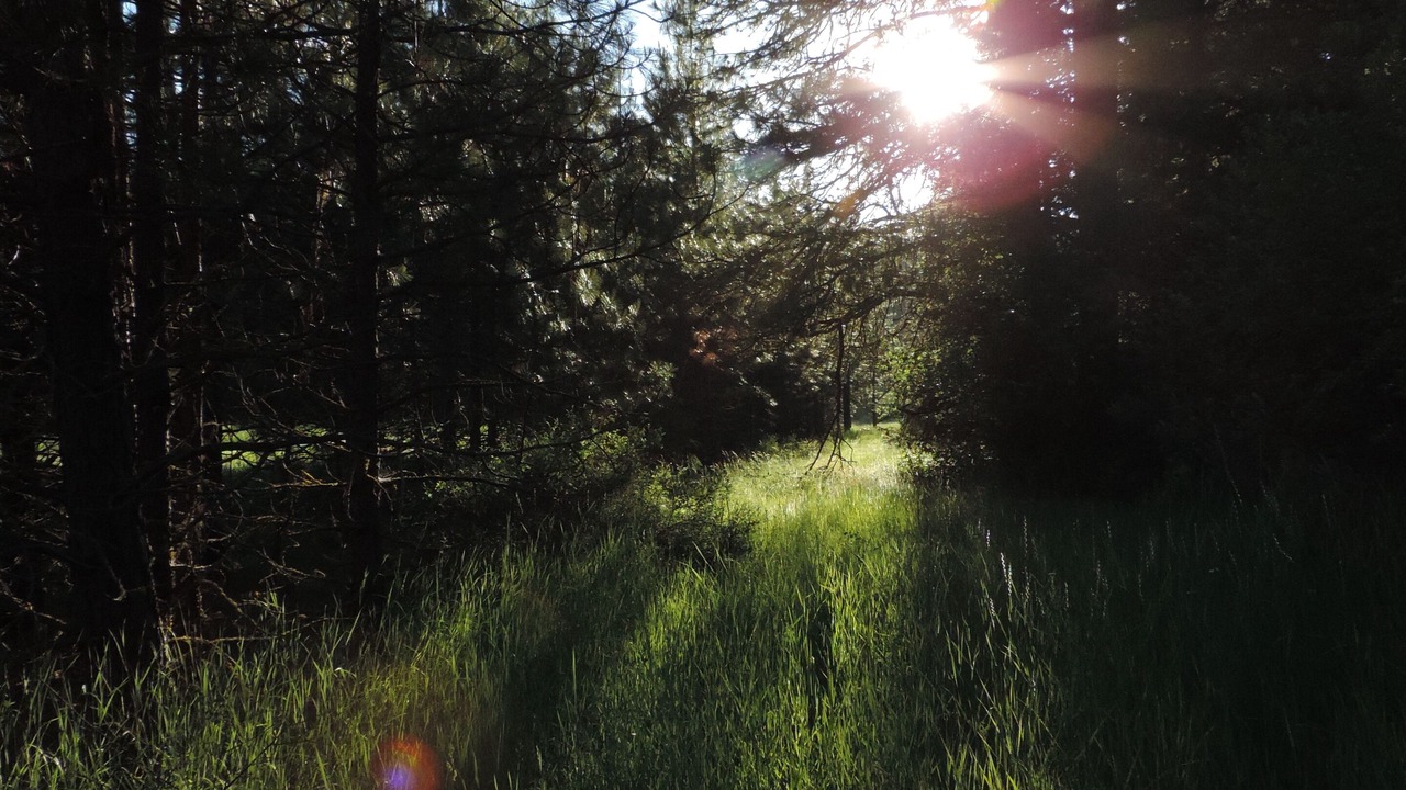 Photo of Others in White Salmon