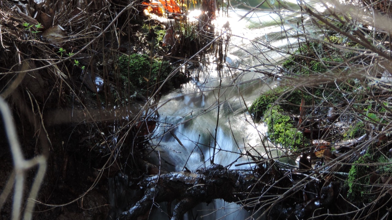 Photo of Others in White Salmon