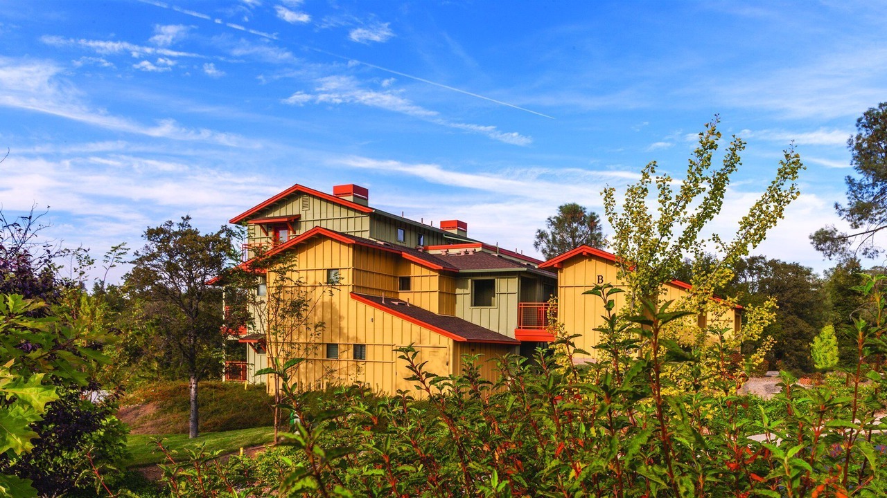 Photo of Outdoor in Angels Camp