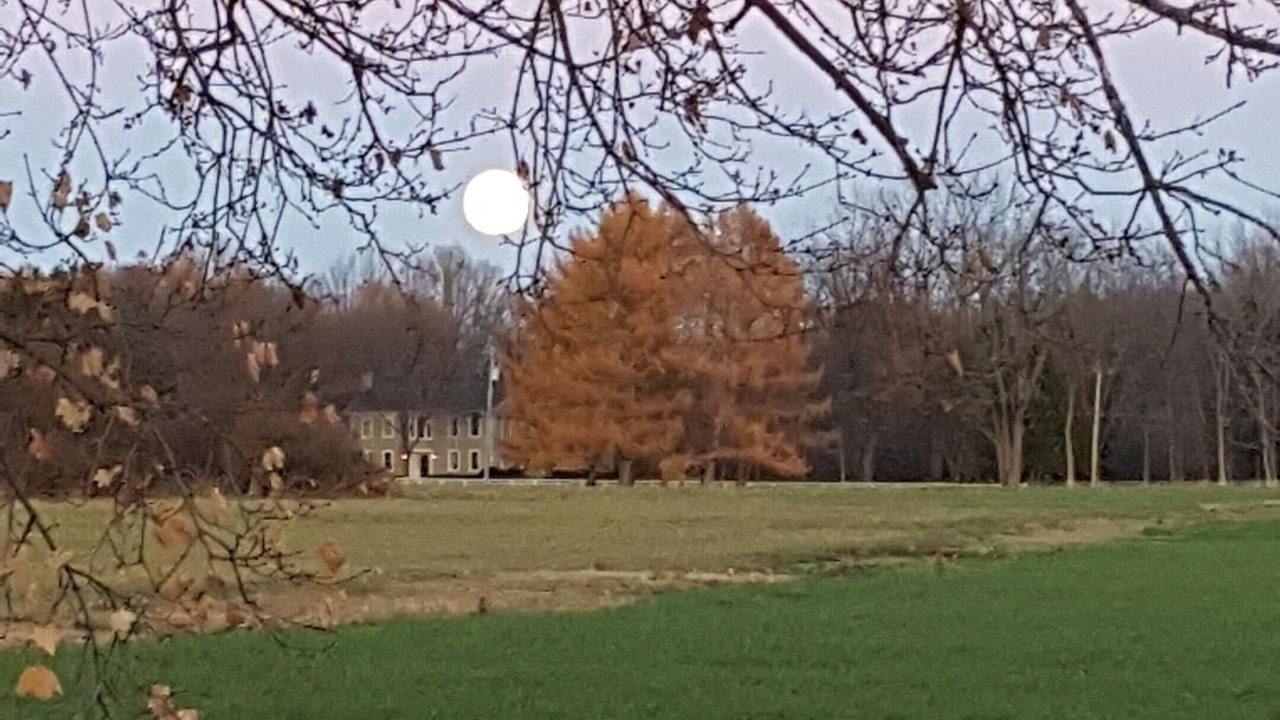 Photo of Others in Kinderhook