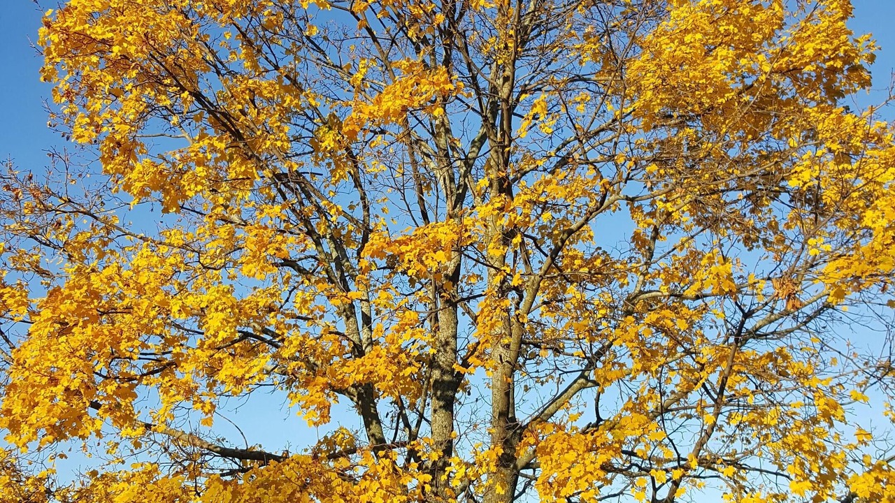 Photo of Others in Kinderhook