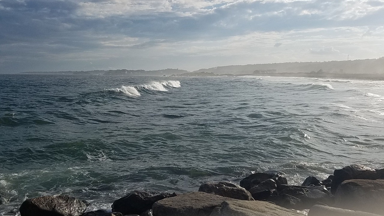 Photo of Others in Rockport