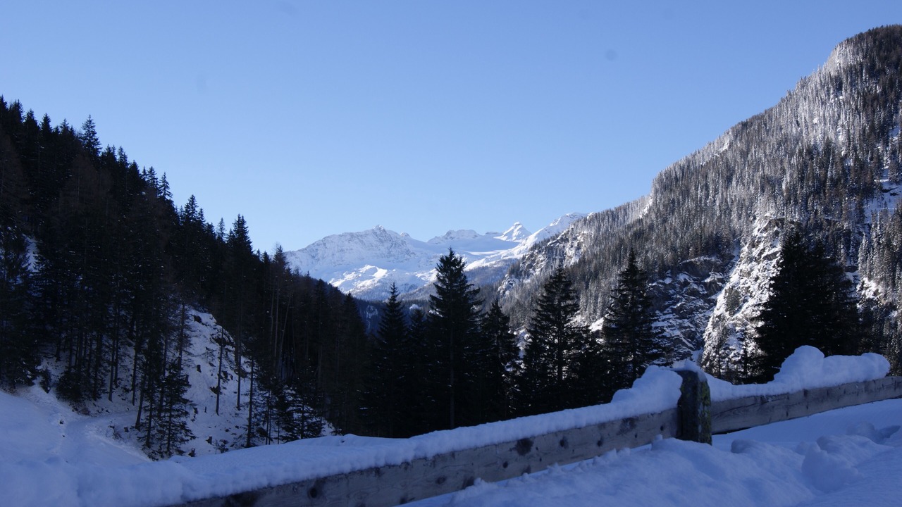 Photo of Others in Poschiavo