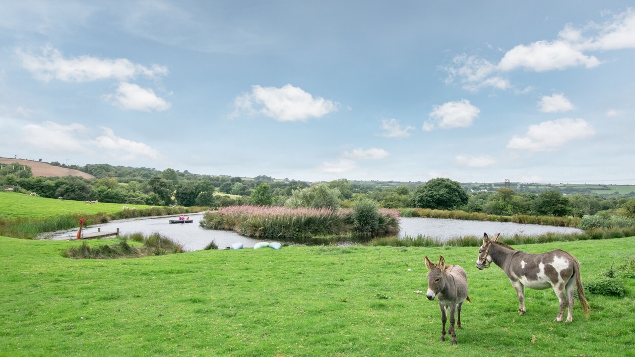 Photo of Others in Felinfach