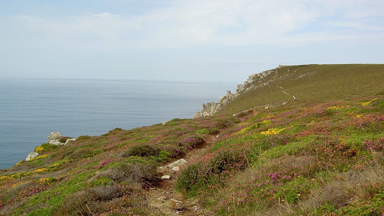 Photo of Others in Roscanvel