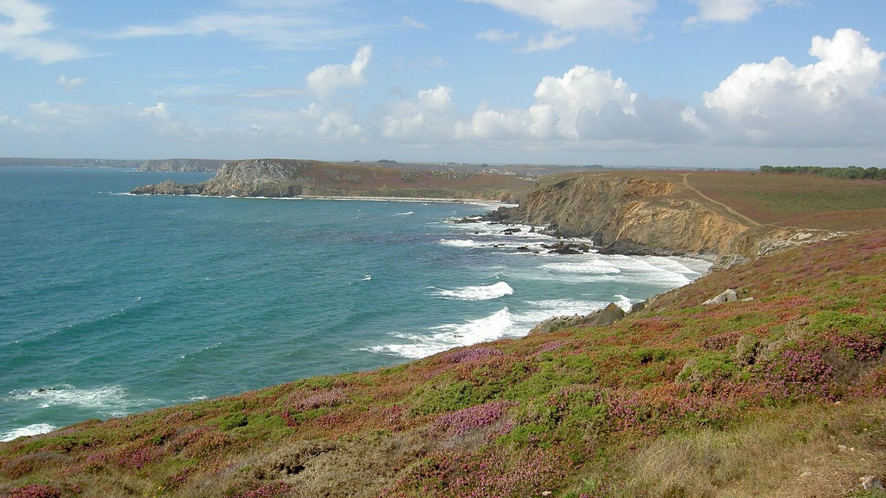 Photo of Others in Roscanvel