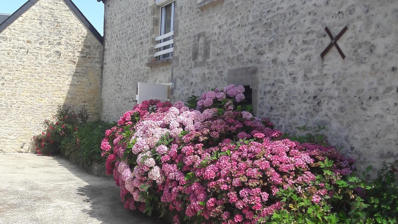 Photo of Outdoor in Sommervieu
