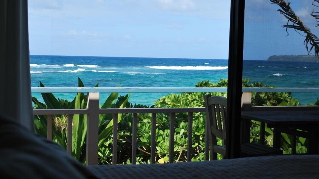 Photo of Others in Wainiha