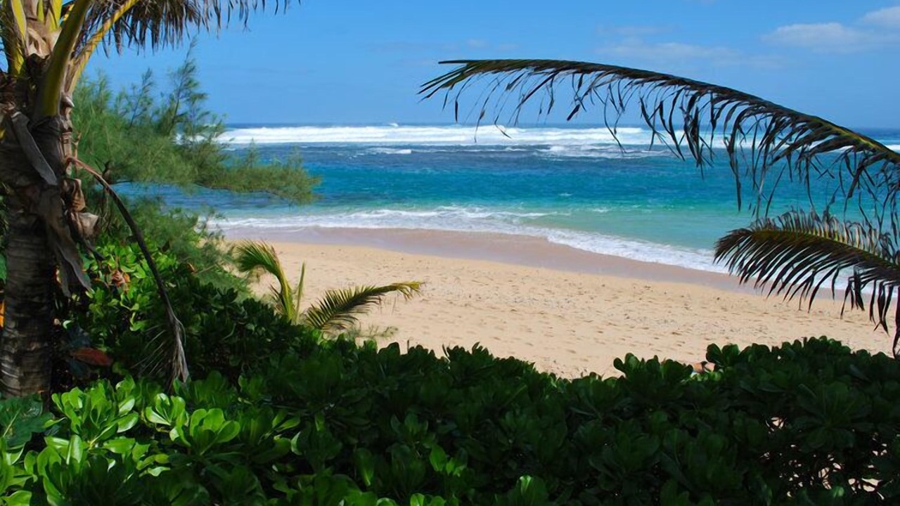 Photo of Others in Wainiha