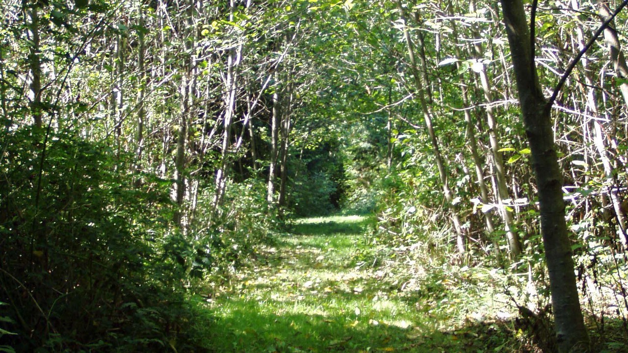 Photo of Others in Bay View