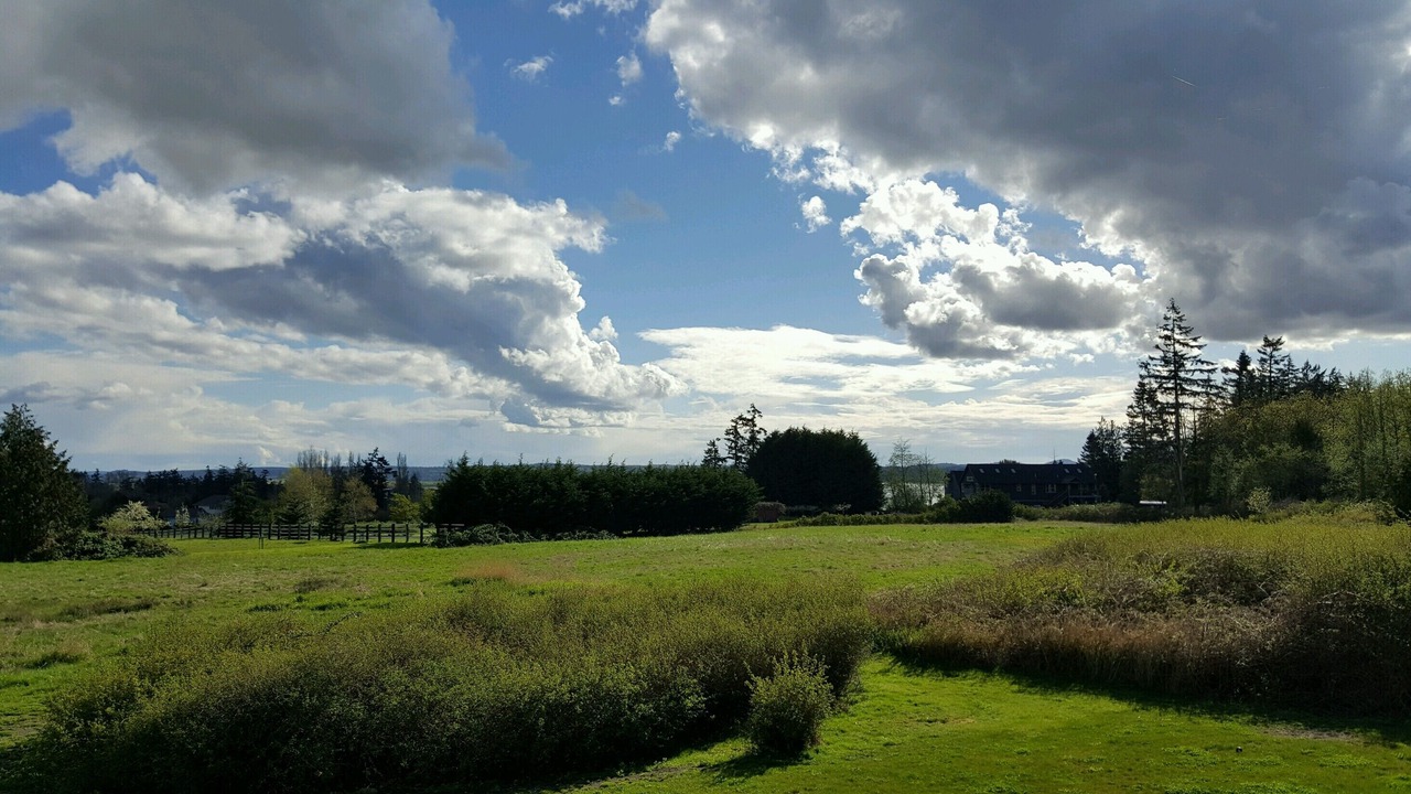 Photo of Patio Balcony in Bay View