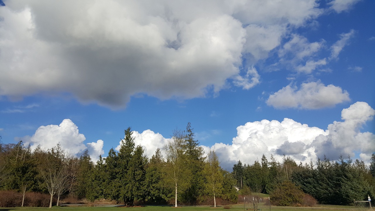 Photo of Others in Bay View