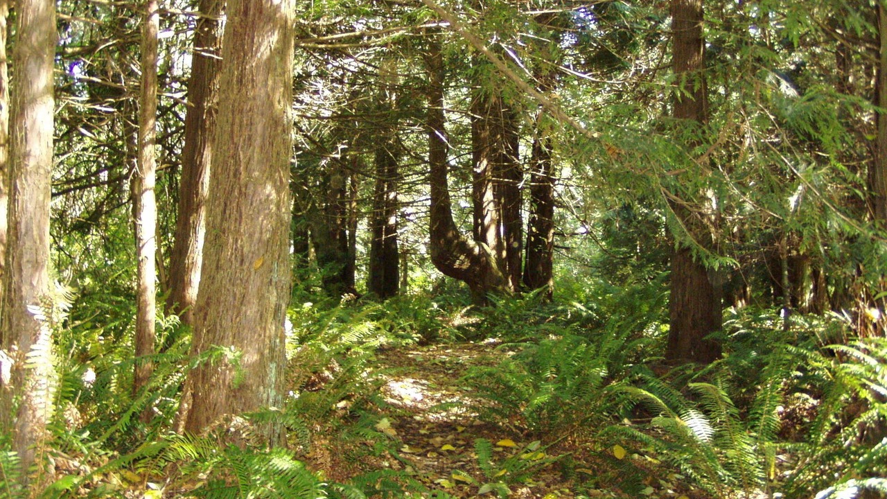 Photo of Others in Bay View