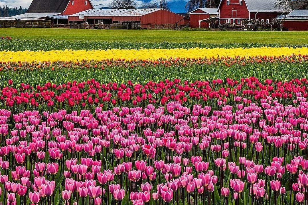 Photo of Others in Bay View