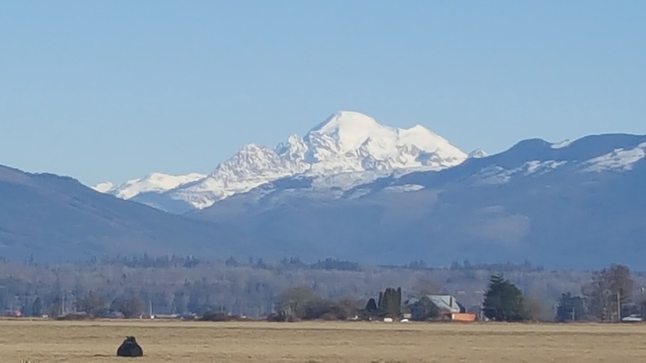 Photo of Others in Bay View