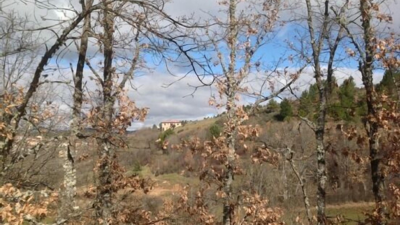 Photo of Outdoor in Rabanera del Pinar