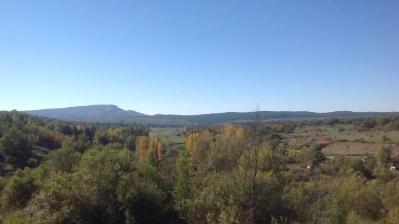 Photo of Others in Rabanera del Pinar